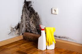 Grapevine, TX Mold Inspection Company